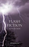 Flash Fiction (eBook, ePUB)