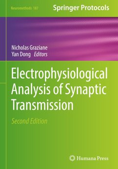 Electrophysiological Analysis of Synaptic Transmission