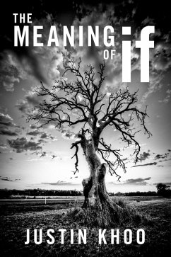 The Meaning of If (eBook, ePUB) - Khoo, Justin
