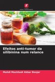 Efeitos anti-tumor da silibinina num relance