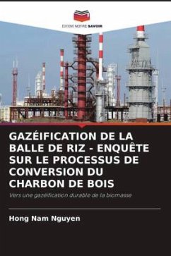 GAZÉIFICATION DE LA BALLE DE RIZ - ENQUÊTE SUR LE PROCESSUS DE CONVERSION DU CHARBON DE BOIS - Nguyen, Hong Nam