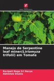 Manejo de Serpentine leaf miner(Liriomyza trifolii) em Tomate