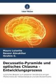 Decussatio-Pyramide und optisches Chiasma - Entwicklungsprozess