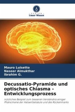 Decussatio-Pyramide und optisches Chiasma - Entwicklungsprozess - Luisetto, Mauro;Almukthar, Naseer;G., Ibrahim