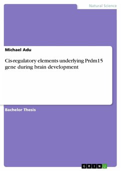Cis-regulatory elements underlying Prdm15 gene during brain development