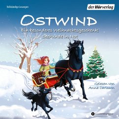 Ein besonderes Weihnachtsgeschenk & Seehunde in Not / Ostwind für Erstleser Bd.13 & 15 (MP3-Download) - THiLO