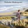 Sturm (MP3-Download) - Bild 1