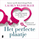 Het perfecte plaatje (MP3-Download)