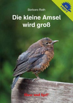 Die kleine Amsel wird groß / Igelheft 83 - Rath, Barbara