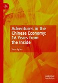 Adventures in the Chinese Economy: 16 Years from the Inside