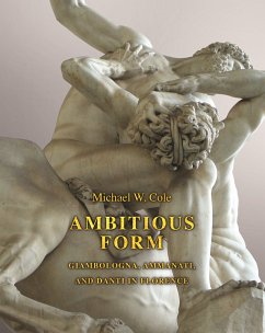 Cover Ambitious Form (eBook, ePUB)