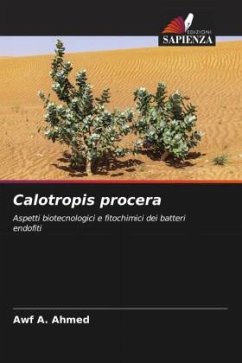 Calotropis procera - A. Ahmed, Awf