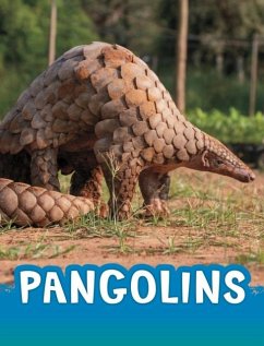 Cover Pangolins