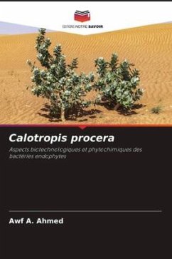 Calotropis procera - A. Ahmed, Awf