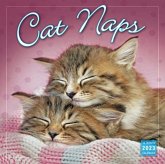 CAT NAPS