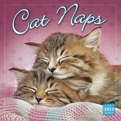 CAT NAPS - SELLERS PUBLISHING