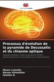 Processus d'évolution de la pyramide de Decussatio et du chiasme optique
