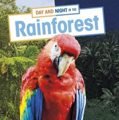 Cover Day and Night in the Rainforest
