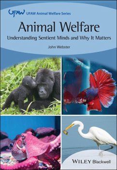 Animal Welfare (eBook, ePUB) - Webster, John