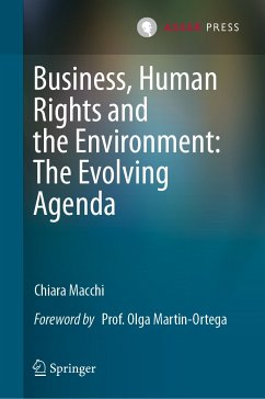 Business, Human Rights and the Environment: The Evolving Agenda (eBook, PDF) - Macchi, Chiara