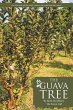 The Guava Tree - Bild 1