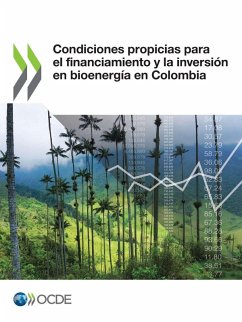 Condiciones propicias para el financiamiento y la inversión en bioenergía en Colombia - Oecd