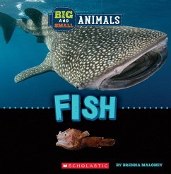 Fish (Wild World: Big and Small Animals) - Maloney, Brenna