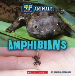 Amphibians (Wild World: Big and Small Animals) - Maloney, Brenna