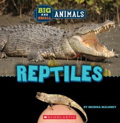 Reptiles (Wild World: Big and Small Animals) - Maloney, Brenna