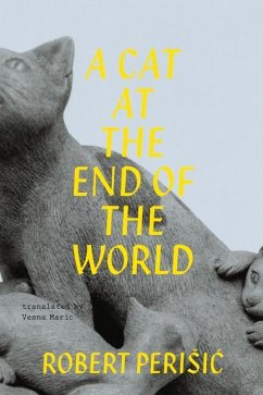 A Cat at the End of the World - Maric, Vesna; Perisic, Robert