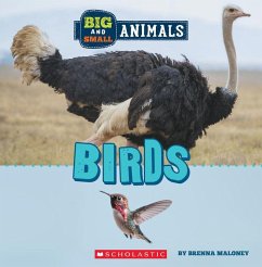 Birds (Wild World: Big and Small Animals) - Maloney, Brenna