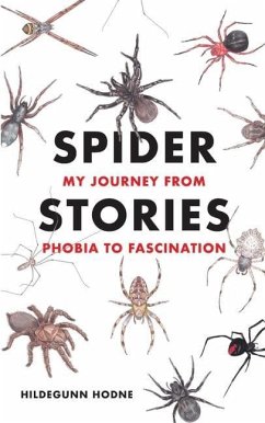 Cover Spider Stories