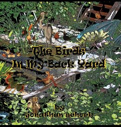 The Birds In My Back Yard - Schork, Jonathan
