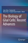 The Biology of Glial Cells: Recent Advances (eBook, PDF)