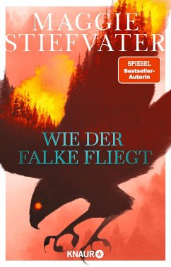 Wie der Falke fliegt / Dreamer-Trilogie Bd.1 - Stiefvater, Maggie