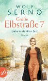 Große Elbstraße 7 - Liebe in dunkler Zeit / Geschichte einer Hamburger Arztfamilie Bd.2