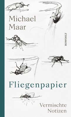Fliegenpapier (eBook, ePUB) - Maar, Michael
