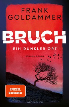 Ein dunkler Ort / Felix Bruch Bd.1 (eBook, ePUB) - Goldammer, Frank