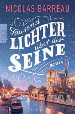 Tausend Lichter über der Seine (eBook, ePUB) - Barreau, Nicolas