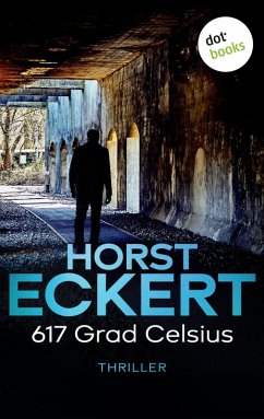 617 Grad Celsius (eBook, ePUB) - Eckert, Horst