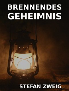 Cover Brennendes Geheimnis (eBook, ePUB)