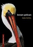 Brown Pelican (eBook, ePUB)