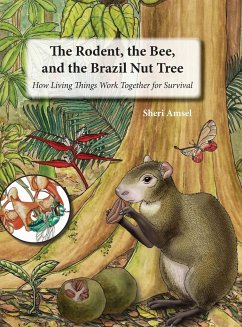 The Rodent, the Bee, and the Brazil Nut Tree - Amsel, Sheri