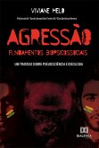 Agressão (eBook, ePUB)