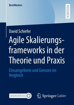 Agile Skalierungsframeworks in der Theorie und Praxis - Schiefer, David