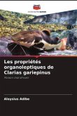 Les propriétés organoleptiques de Clarias gariepinus
