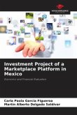 Investment Project of a Marketplace Platform in Mexico