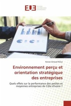 Environnement perçu et orientation stratégique des entreprises - N'Zue, Konan Arnaud