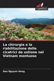 La chirurgia e la riabilitazione delle cicatrici da ustione nel Vietnam montuoso