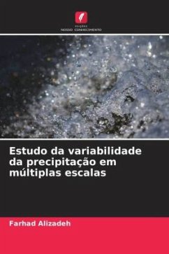 Estudo da variabilidade da precipitação em múltiplas escalas - Alizadeh, Farhad